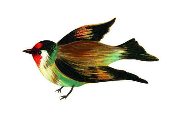 Illustration zu 'Wach auf, meins Herzens Schöne' von Christoph Mett