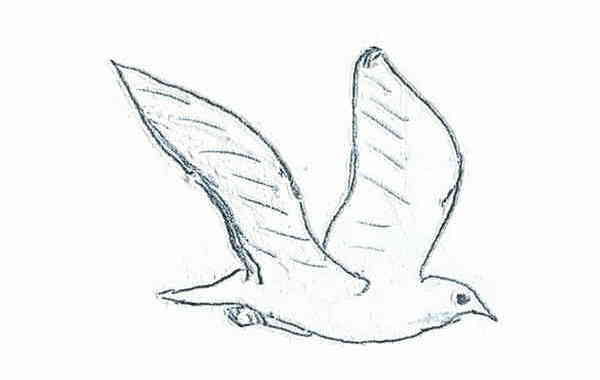 Illustration zu 'Yalla tnam Rima' von Frank Walka