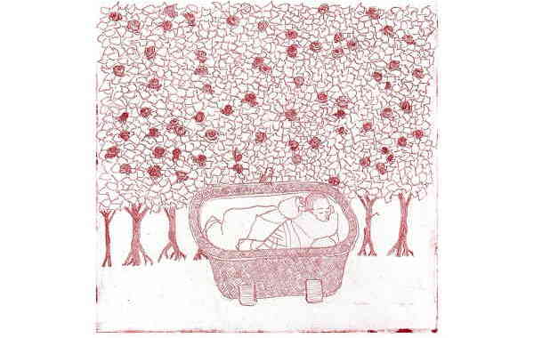 Illustration zu 'Na ska' en liten fa sova sa sott' von Frank Walka