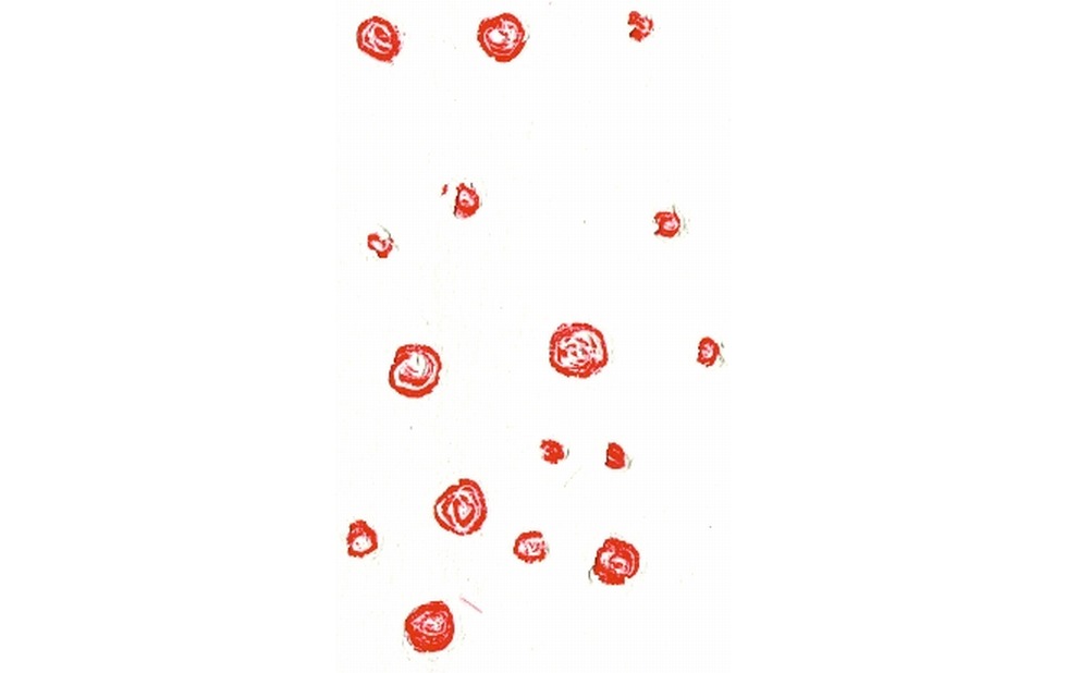 Illustration zu »Wann die Kinder schlafen ein« von Frank Walka