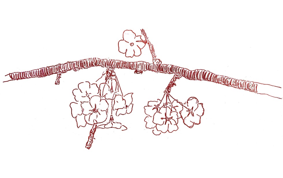 Illustration zu »Alles still in süßer Ruh« von Frank Walka