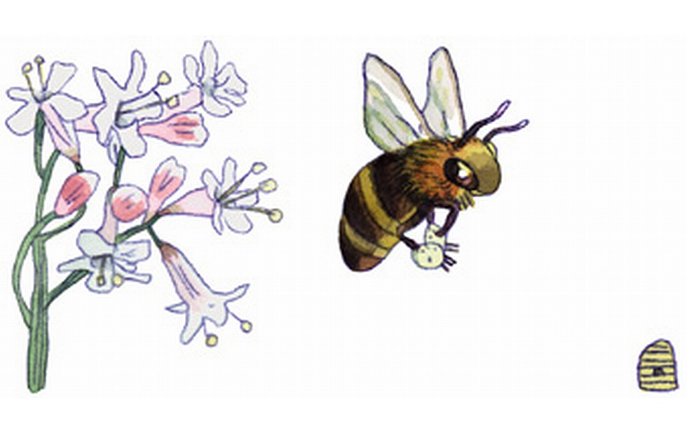 Illustration zu »Summ, summ, summ« von Markus Lefrançois