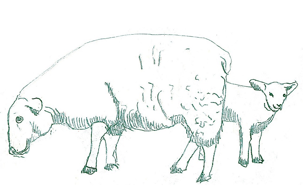 Illustration zu »Abu, abu, abua« von Frank Walka