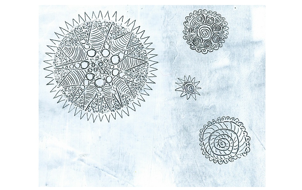 Illustration zu »Dorme, dorme, meu menino« von Frank Walka