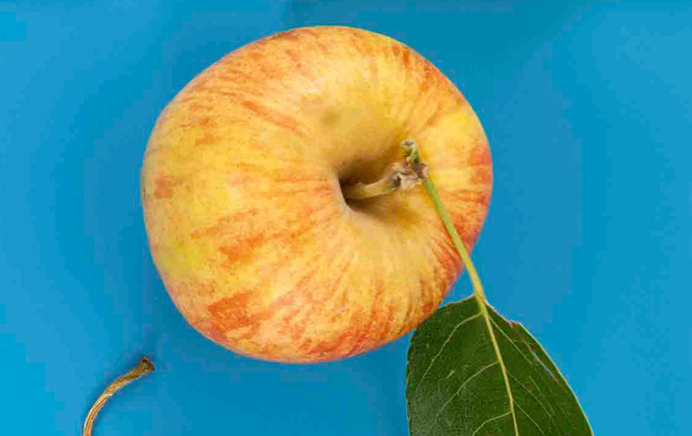 Illustration zu »Pera stus pera kampus / Da drüben auf dem Felde« von Jan von Holleben